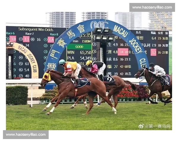 以射箭比赛规则为核心的竞技流程判罚标准与赛制解析全面指南实践