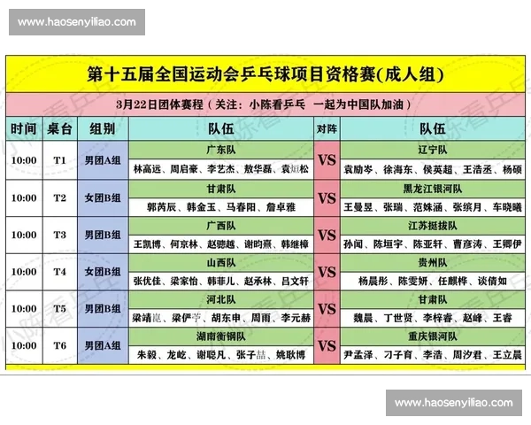 全面解读乒乓球团体比赛规则与赛制流程实战应用指南深度解析